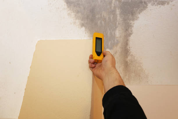 Best Industrial Mold Remediation  in Bay Village, OH