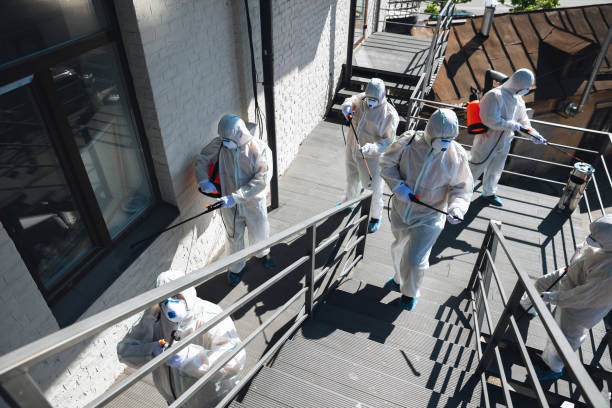 Best Asbestos and Lead Testing During Mold Inspection  in Bay Village, OH