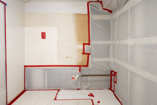 Best Basement Mold Removal  in Bay Village, OH