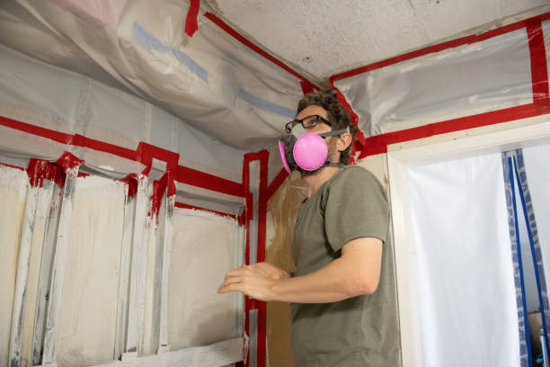 Reliable Bay Village, OH Mold Removal Solutions