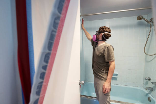Best Real Estate Mold Inspection  in Bay Village, OH