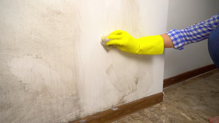 Best Mold Prevention Services  in Bay Village, OH