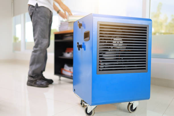 Best Residential Mold Inspection & Testing  in Bay Village, OH