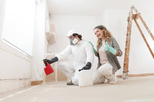 Best Biohazard Mold Removal  in Bay Village, OH