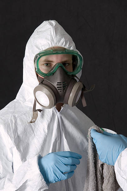 Best Airborne Mold Testing  in Bay Village, OH